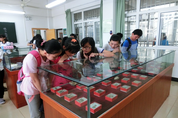 南溪山小学学生在我校志愿者陪同下参观地质标本馆
