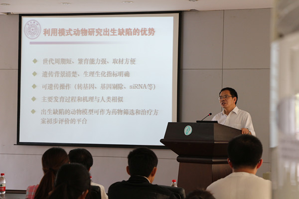 孟安明院士在做报告