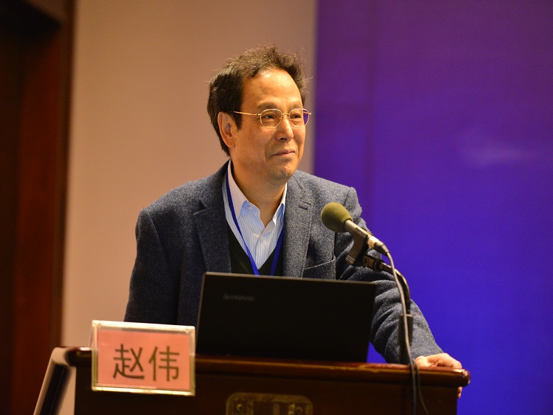 ５浙江大学经济学院教授赵伟作主旨发言.jpg